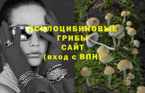 первитин Алексеевка